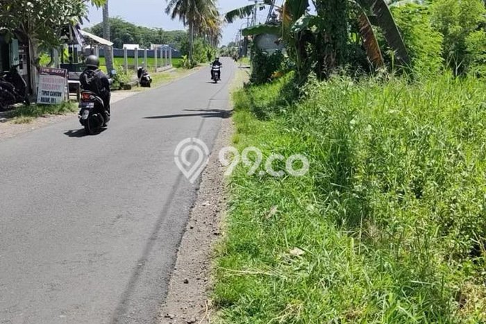 Tanah Area Potensial Kawasan , Luas 6600m2m², Lingkungan Nyaman, Dekat Tabanan, Tabanan Tanah Area Potensial Kawasan , Luas 6600m2m², Lingkungan Nyaman, Dekat Tabanan, Tabanan