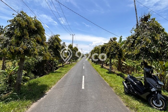 Lahan Dijual Lokasi Strategis di Tabanan dengan Luas 2320m2 Lahan Dijual Lokasi Strategis di Tabanan dengan Luas 2320m2