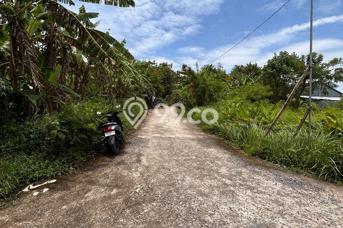 Dijual Tanah di Tabanan, Luas 150m2 SHM Dijual Tanah di Tabanan, Luas 150m2 SHM