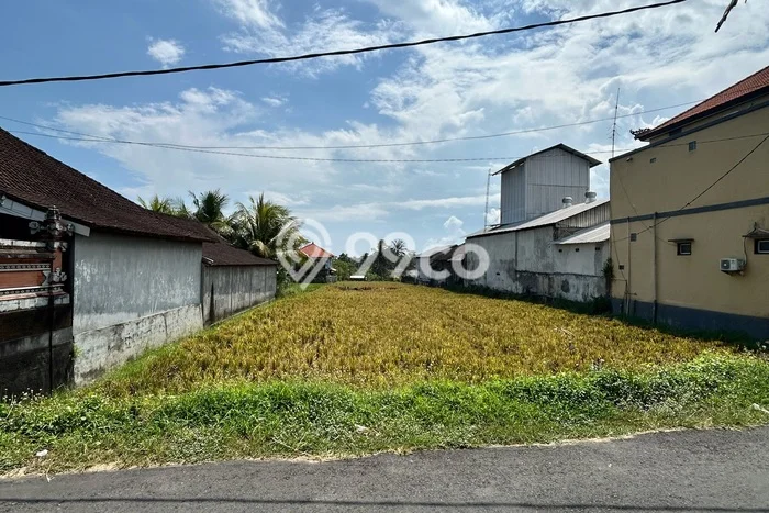Tanah Komersial Dijual di Kediri Tabanan 2030m2 Tanah Komersial Dijual di Kediri Tabanan 2030m2