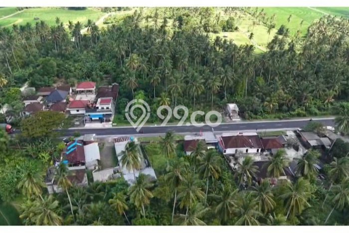 Tanah Dijual di Tabanan Seluas 1500m2 Strategis Tanah Dijual di Tabanan Seluas 1500m2 Strategis
