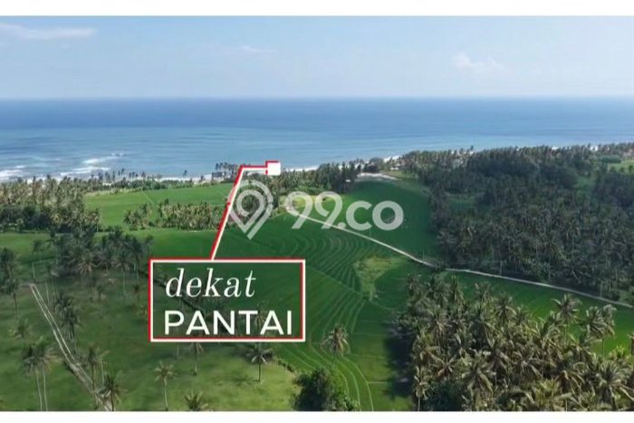 Tanah Dijual di Tabanan Seluas 1500m2 Strategis Tanah Dijual di Tabanan Seluas 1500m2 Strategis