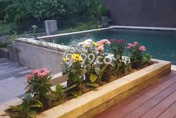 Rumah Siap Huni 2 KT 2 KM di Tabanan, Tabanan Rumah Siap Huni 2 KT 2 KM di Tabanan, Tabanan