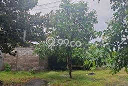 Dijual Tanah 292m2 di Jimbaran, Badung Dijual Tanah 292m2 di Jimbaran, Badung
