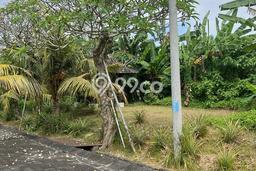 Tanah Kavling di Gianyar Dijual dengan Luas 100m2 Tanah Kavling di Gianyar Dijual dengan Luas 100m2