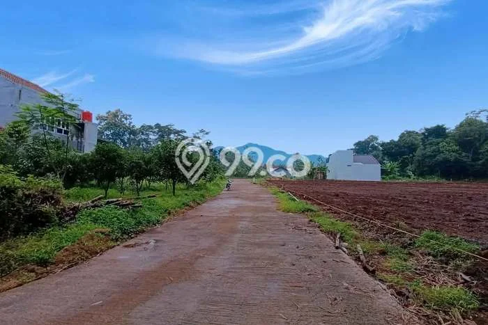 Lahan Strategis di Gunung Pati Dijual dengan Luas 120m2 Lahan Strategis di Gunung Pati Dijual dengan Luas 120m2