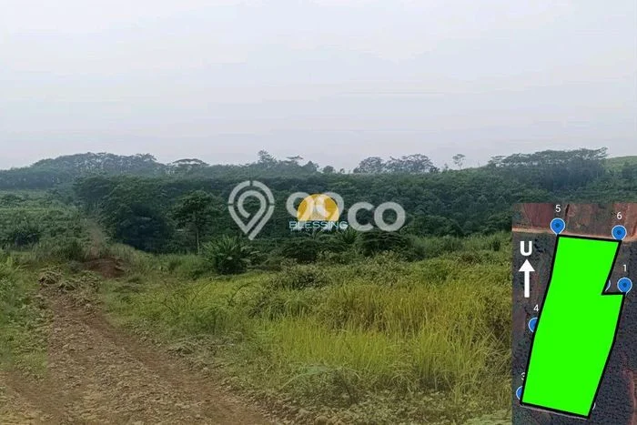 Tanah untuk Dijual Lokasi Batang, Batang Luas 10800m2 SHM Tanah untuk Dijual Lokasi Batang, Batang Luas 10800m2 SHM