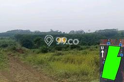 Tanah untuk Dijual Lokasi Batang, Batang Luas 10800m2 SHM Tanah untuk Dijual Lokasi Batang, Batang Luas 10800m2 SHM