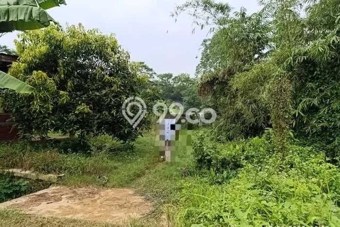 Tanah untuk Dijual Lokasi Batang, Batang Luas 10800m2 SHM Tanah untuk Dijual Lokasi Batang, Batang Luas 10800m2 SHM