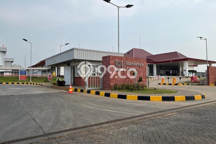 Tanah di Batang, Luas 6600m², Area Strategis, Lingkungan Nyaman Tanah di Batang, Luas 6600m², Area Strategis, Lingkungan Nyaman