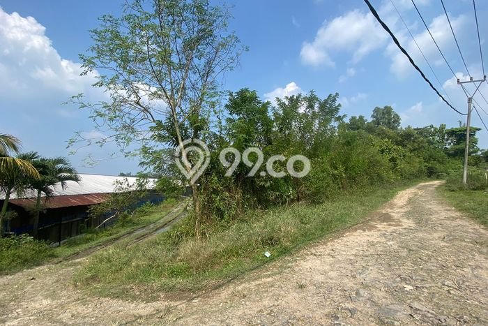 Tanah untuk Dijual di Rangkasbitung Lebak Luas 18720m2 Tanah untuk Dijual di Rangkasbitung Lebak Luas 18720m2