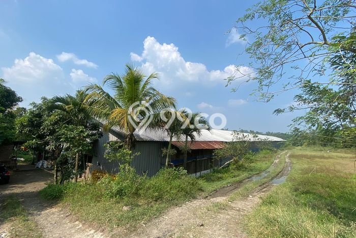 Tanah untuk Dijual di Rangkasbitung Lebak Luas 18720m2 Tanah untuk Dijual di Rangkasbitung Lebak Luas 18720m2