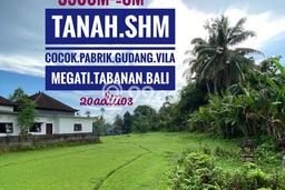 Tanah di Selemadeg, Tabanan Luas 3500m2 Dijual Segera Tanah di Selemadeg, Tabanan Luas 3500m2 Dijual Segera