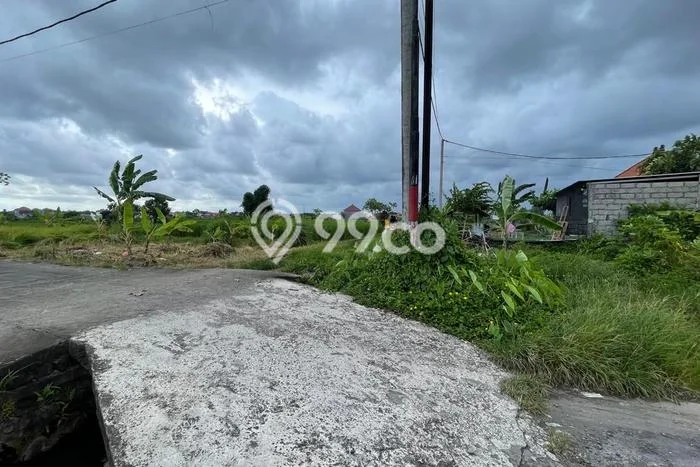 Tanah Dijual Lokasi Sukawati Gianyar SHM Tanah Dijual Lokasi Sukawati Gianyar SHM