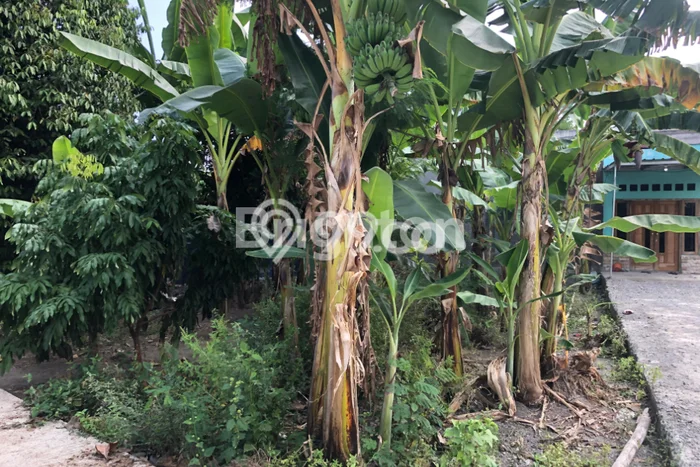 Kavling Tanah di Jetis Dijual Luas 121m2 Legalitas SHM Kavling Tanah di Jetis Dijual Luas 121m2 Legalitas SHM