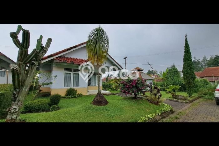 Hunian Nyaman Asri 3 KT Siap Huni di Cipanas Bogor Hunian Nyaman Asri 3 KT Siap Huni di Cipanas Bogor