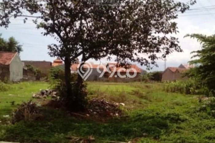 Kavling Tanah Dijual di Kesambi Cirebon Spesifikasi 2700m2 Kavling Tanah Dijual di Kesambi Cirebon Spesifikasi 2700m2