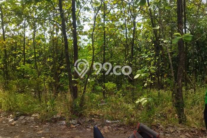 Jual Tanah di , Luas 710m2m², Area Strategis Jual Tanah di , Luas 710m2m², Area Strategis