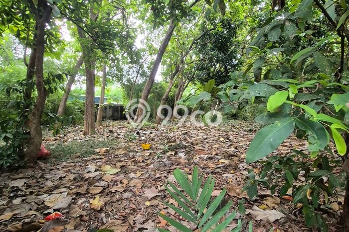 Dijual Tanah di Jakarta Selatan, Luas 855m2 SHM Dijual Tanah di Jakarta Selatan, Luas 855m2 SHM