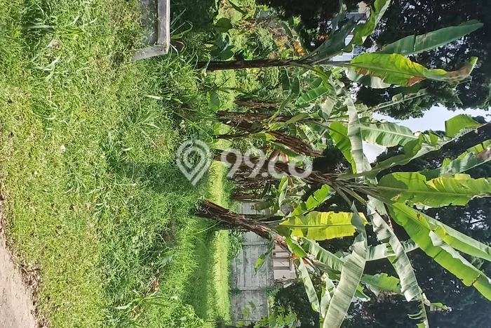 Tanah Kavling untuk Dijual di Lembang Bandung Barat 324m2 Tanah Kavling untuk Dijual di Lembang Bandung Barat 324m2