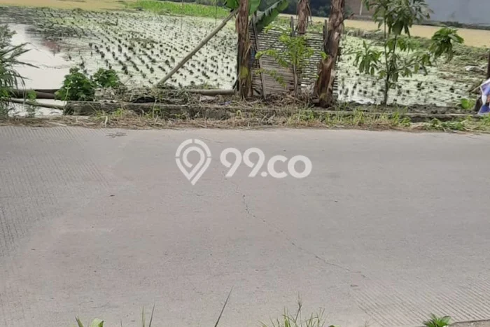 Kavling Tanah Dijual di Bojongsoang Bandung Spesifikasi 3910m2 Kavling Tanah Dijual di Bojongsoang Bandung Spesifikasi 3910m2