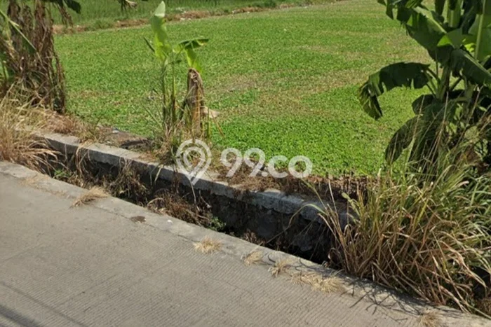 Kavling Tanah Dijual di Bojongsoang Bandung Spesifikasi 3910m2 Kavling Tanah Dijual di Bojongsoang Bandung Spesifikasi 3910m2