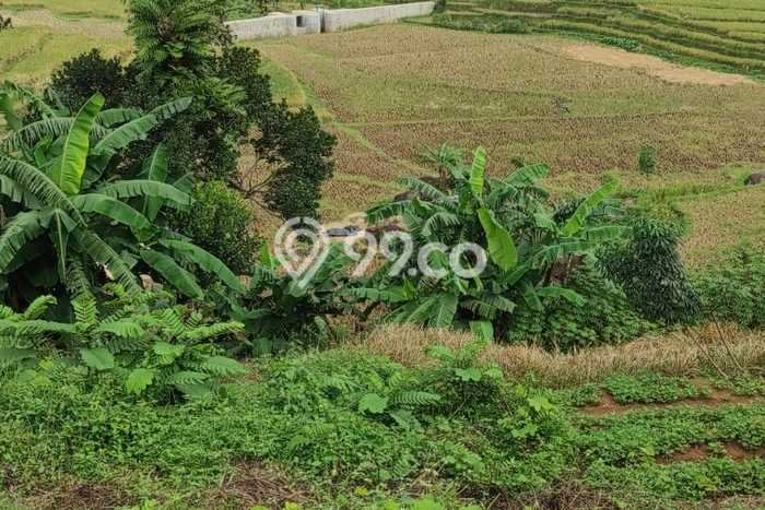 Kavling Tanah Dijual di Sindangwangi, Majalengka, Luas 2816m2 Area Strategis Kavling Tanah Dijual di Sindangwangi, Majalengka, Luas 2816m2 Area Strategis