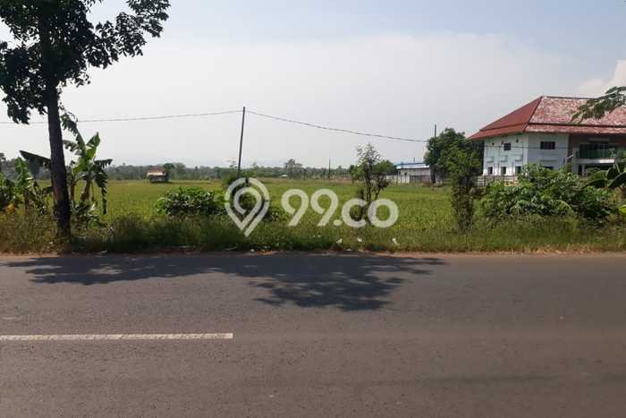 Tanah Dijual Lokasi Jatiwangi, Majalengka Luas 100000m2 Legalitas Aman Tanah Dijual Lokasi Jatiwangi, Majalengka Luas 100000m2 Legalitas Aman