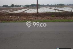 Tanah Strategis Dijual di Ligung Majalengka 50000m2 Tanah Strategis Dijual di Ligung Majalengka 50000m2