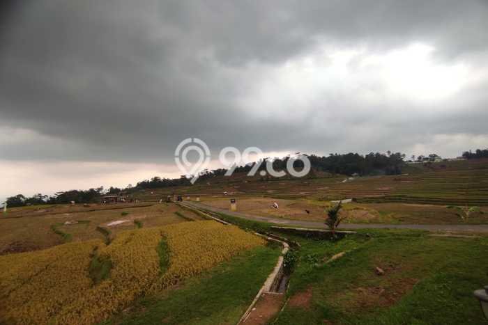 Kavling Tanah Dijual di Sindangwangi, Majalengka, Luas 2816m2 Area Strategis Kavling Tanah Dijual di Sindangwangi, Majalengka, Luas 2816m2 Area Strategis