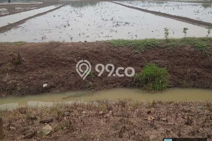 Tanah Strategis Dijual di Ligung Majalengka 50000m2 Tanah Strategis Dijual di Ligung Majalengka 50000m2