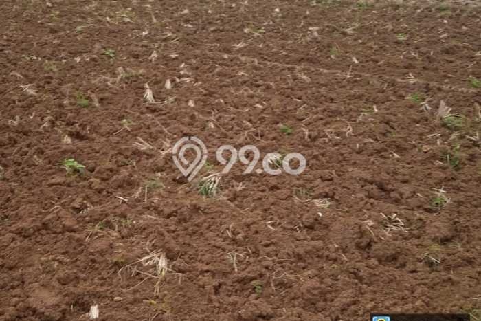 Tanah Strategis Dijual di Ligung Majalengka 50000m2 Tanah Strategis Dijual di Ligung Majalengka 50000m2