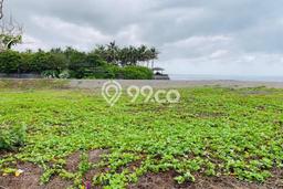 Dijual Tanah di Badung, Luas 10000m2 SHM Dijual Tanah di Badung, Luas 10000m2 SHM