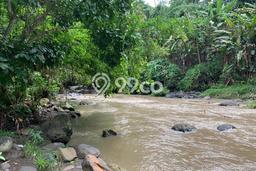 Tanah Kavling Dijual di Buwit, Tabanan dengan Luas Tanah 5000m2 Tanah Kavling Dijual di Buwit, Tabanan dengan Luas Tanah 5000m2