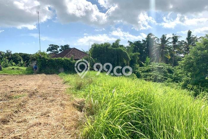 Tanah Kavling Dijual di Buwit, Tabanan dengan Luas Tanah 4550m2 Tanah Kavling Dijual di Buwit, Tabanan dengan Luas Tanah 4550m2