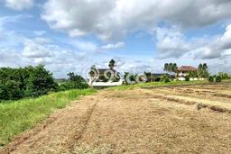Tanah Kavling Dijual di Buwit, Tabanan dengan Luas Tanah 4550m2 Tanah Kavling Dijual di Buwit, Tabanan dengan Luas Tanah 4550m2