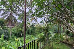 Tanah di Ubud, Gianyar Luas 1460m2 Dijual Segera Tanah di Ubud, Gianyar Luas 1460m2 Dijual Segera