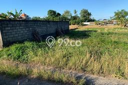 Untuk Dijual Tanah di Gianyar, Luas 306m2 SHM Untuk Dijual Tanah di Gianyar, Luas 306m2 SHM