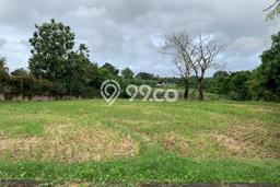Untuk Dijual Tanah di Badung, Luas 3663m2 - Untuk Dijual Tanah di Badung, Luas 3663m2 -