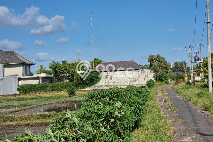 Kavling Tanah Dijual di Kerambitan Tabanan Spesifikasi 4000m2 Kavling Tanah Dijual di Kerambitan Tabanan Spesifikasi 4000m2