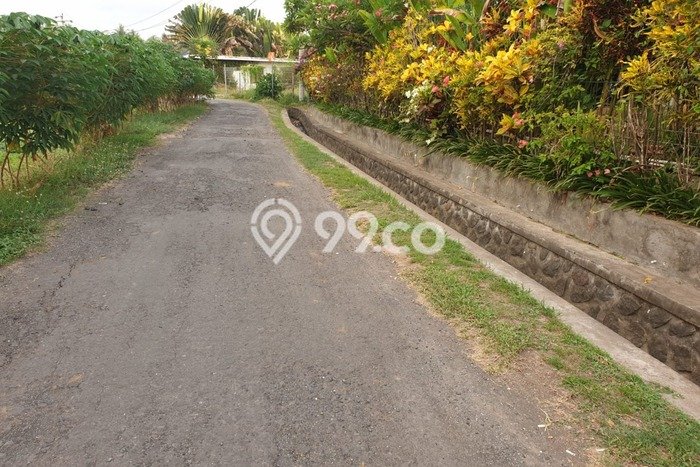 Kavling Tanah Dijual di Kerambitan Tabanan Spesifikasi 4000m2 Kavling Tanah Dijual di Kerambitan Tabanan Spesifikasi 4000m2