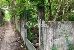 Tanah Dijual Area Strategis di canggu Badung 7000m2 Tanah Dijual Area Strategis di canggu Badung 7000m2