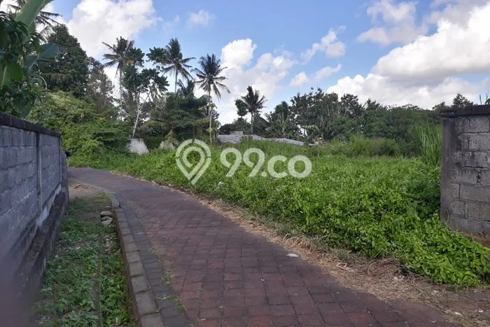 Tanah Dijual Lokasi Mengwi, Badung Luas 130m2 Legalitas Aman Tanah Dijual Lokasi Mengwi, Badung Luas 130m2 Legalitas Aman