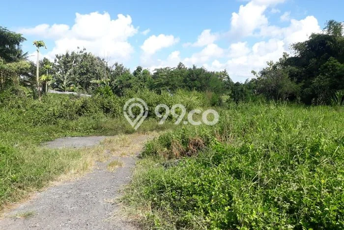 Tanah Dijual Lokasi Mengwi, Badung Luas 130m2 Legalitas Aman Tanah Dijual Lokasi Mengwi, Badung Luas 130m2 Legalitas Aman