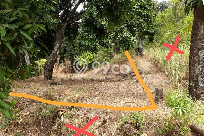Tanah Dijual Lokasi Sukasada, Buleleng Luas 1000m2 Legalitas Aman Tanah Dijual Lokasi Sukasada, Buleleng Luas 1000m2 Legalitas Aman
