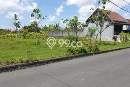 Untuk Dijual Tanah 2500m2 di Kerobokan, Badung Untuk Dijual Tanah 2500m2 di Kerobokan, Badung