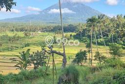 Lahan Kosong Dijual di Karangasem dengan Area 13000m2 Lahan Kosong Dijual di Karangasem dengan Area 13000m2