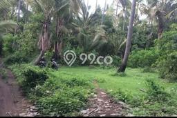 Tanah di Tejakula, Buleleng Luas 1000m2 Dijual Segera Tanah di Tejakula, Buleleng Luas 1000m2 Dijual Segera