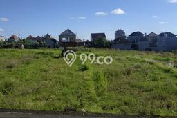 Disewakan Tanah di canggu Badung Seluas 1000m2 Disewakan Tanah di canggu Badung Seluas 1000m2