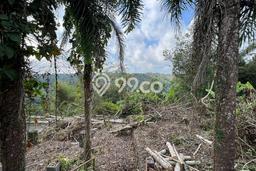 Kavling Tanah di Payangan Dijual Luas 5300m2 Legalitas SHM Kavling Tanah di Payangan Dijual Luas 5300m2 Legalitas SHM